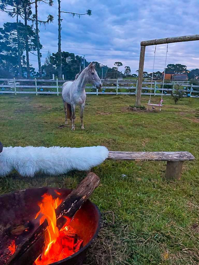 Vila Platto Da Neve:Jacuzzi E Lareira Em Urubici Rg2775 Exteriér fotografie